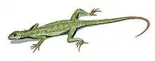 Petrolacosaurus, le plus ancien diapside connu (entre autres, les crocodiles, les dinosaures et donc les oiseaux en descendent).