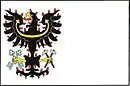 Drapeau de Petrovice I