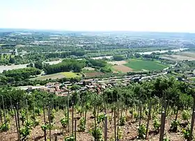 Peyraud