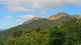 Vue du mont Pulag.