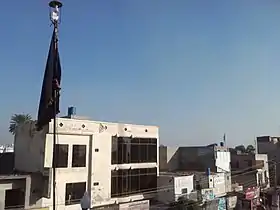 Phalia