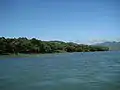 La Son dans le parc national de Phong Nha-Kẻ Bàng