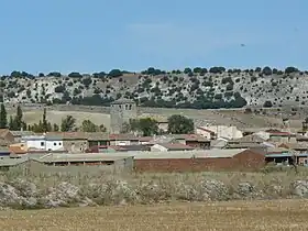 Piña de Esgueva