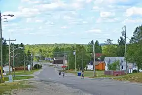 Pickle Lake