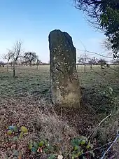Pierre au Bordeu