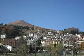Pigra