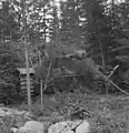 Canon d'assaut finlandais camouflé Sturmgeschütz III sur le champ de bataille.