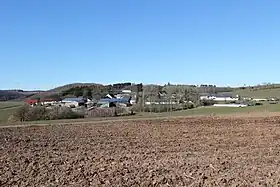 Pintesfeld