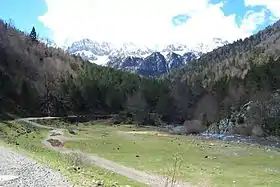 Image illustrative de l’article Forêt de Oza