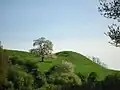 La motte castrale, dite château de Saint-Étienne.