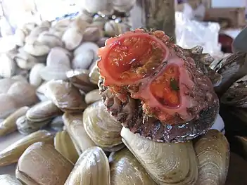 Pyura chilensis prêt à être consommé au Chili.