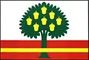 Drapeau de Plískov