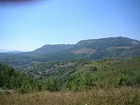 Plavuzi