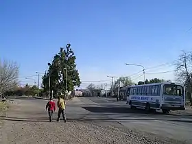 Coquimbito