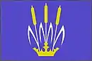 Drapeau de Plch