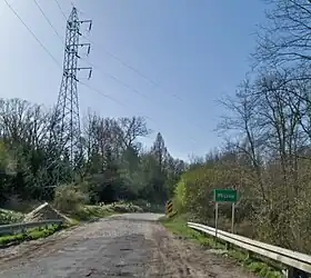 Pliszka (Lubusz)