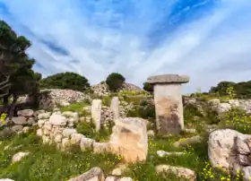 Image illustrative de l’article Sa Torreta de Tramuntana