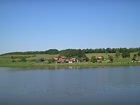 Podgarić