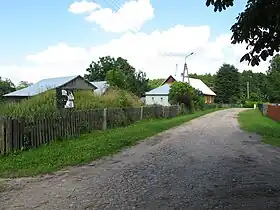 Brzozówka Koronna