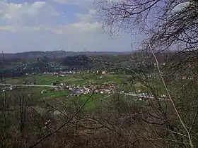 Podorašje