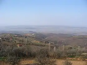 Babičko