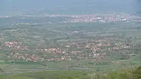Vasilj