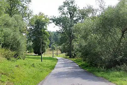 Route no 366.