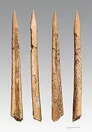 Pointes de sagaie