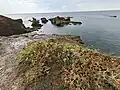 Côte découpée