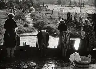 Lavage du linge à Bizovik&nbsp;(en), en 1958 ou 1959Photo de Žaro Tušar