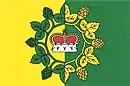 Drapeau de Polepy
