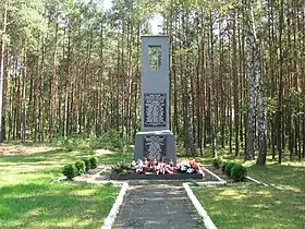 Wygoda (Radomsko)