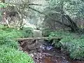 Passerelle en ciment mise en place par des habitants de Lopérec au milieu du XXe&nbsp;siècle pour faciliter le passage des élèves venant du « Koste Glujoù » à l'école publique de Saint-Rivoal.