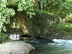 Arche no 4.