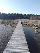 Pont de bois sur tourbière (sentier du tour du lac).