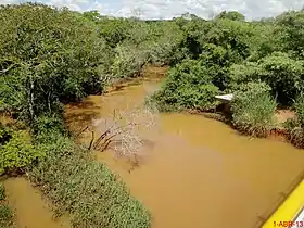 Pirangi