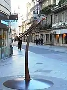 Perroquet Ravachol sur la place de la Peregrina
