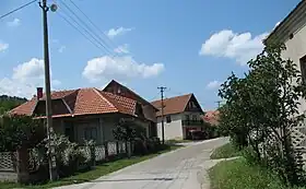 Popovica