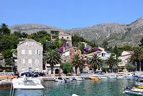 Mlini