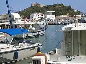 Tabarka