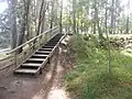 Escalier du sentier.