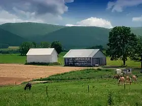 Porter Township (comté de Clinton, Pennsylvanie)