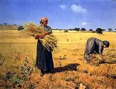 António Carvalho de Silva Porto, colheita-ceiferas (pt), Moisson-moissonneuses. Mise en gerbes