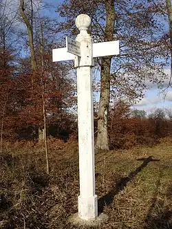 Image illustrative de l’article Forêt de Compiègne