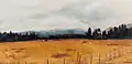 Potrero à Melipilla, Chili