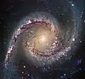 NGC 1566