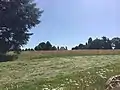 Pré et mairie de Feytiat, au début de la fauche, avant la construction du futur lotissement.