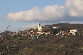 Praputnjak
