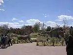 Savane africaine.