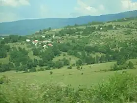 Pribeljci